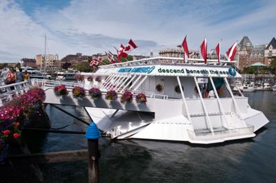 Picture of the Victoria Undersea Gardens